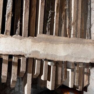 Пальмира Слоновая слэб, доска (Palmwood) 111304