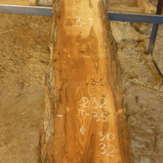 Карагач кавказский слэб, доска 116141