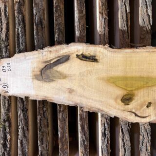 Магнолия-Тюльпановая слэб, доска (Liriodendron tulipifera) - Whitewood, american, - Магнолия 6741