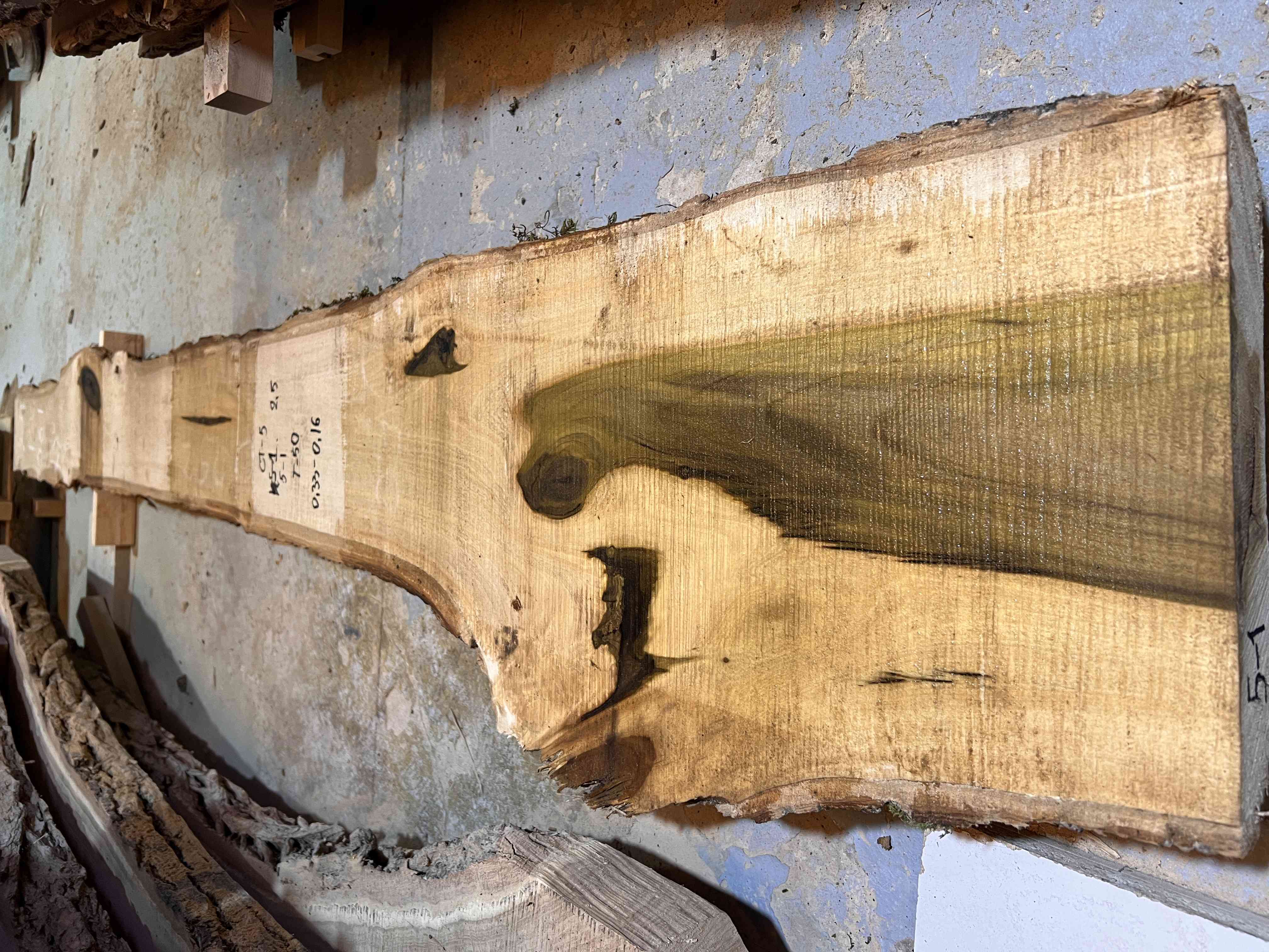 Магнолия-Тюльпановая слэб, доска (Liriodendron tulipifera) - Whitewood, american, - Магнолия 6751 1 Магнолия-Тюльпановая слэб, доска (Liriodendron tulipifera) - Whitewood, american, - Магнолия 6751