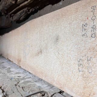 Пальмира Слоновая слэб, доска (Palmwood) 111105