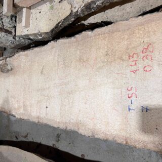 Пальмира Слоновая слэб, доска (Palmwood) 111207
