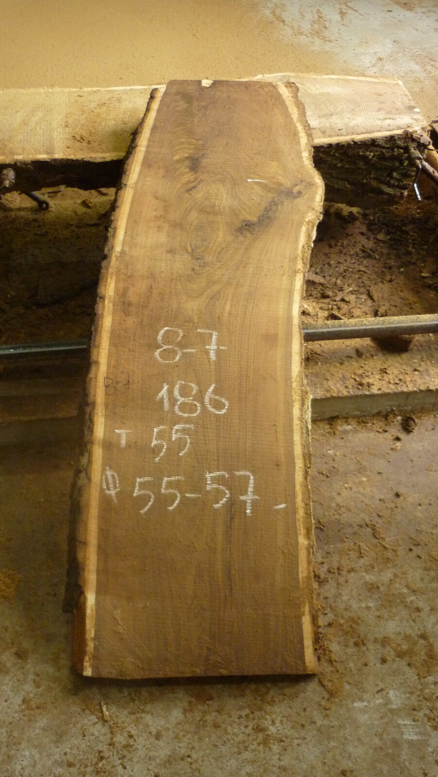 Карагач кавказский слэб, доска 115737 1 Карагач кавказский слэб, доска 115737