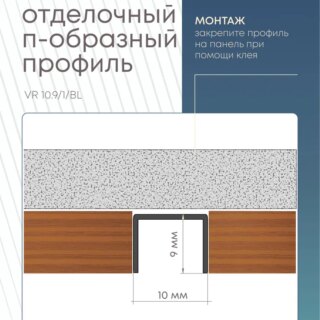 profpbl-1