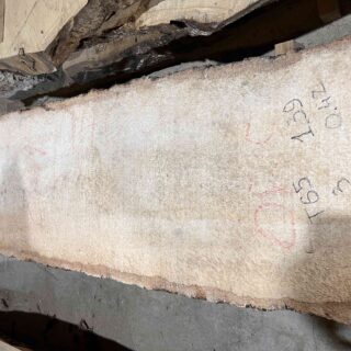 Пальмира Слоновая слэб, доска (Palmwood) 111203