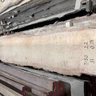 Пальмира Слоновая слэб, доска (Palmwood) 111231