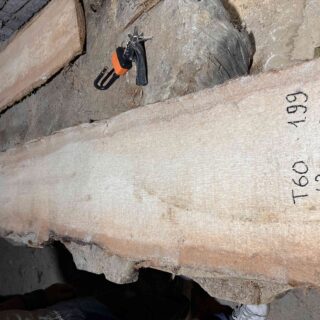 Пальмира Слоновая слэб, доска (Palmwood) 111242