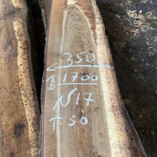 Грецкий орех 114427