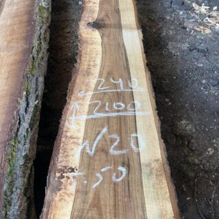 Грецкий орех 114430