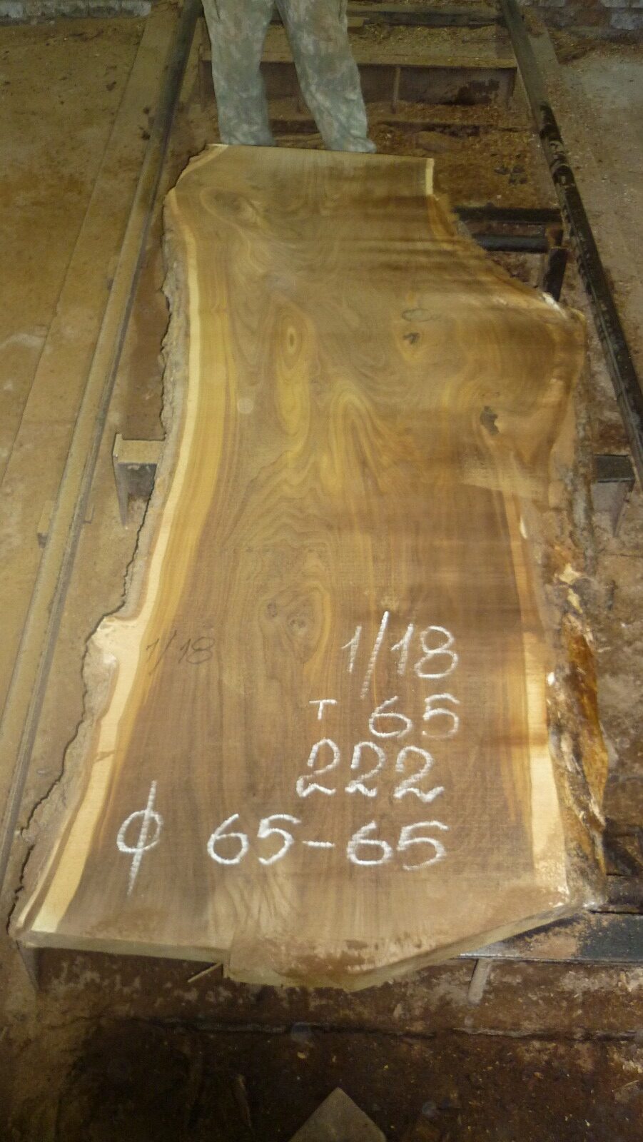 Карагач Слэб 115188 1 Карагач Слэб 115188
