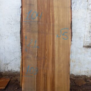 Каштан Слэб  115255