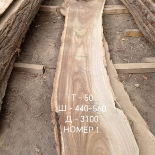Софора Японская Слэб 115281