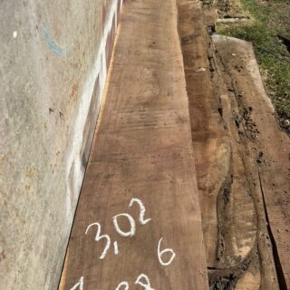 Америкаский Черный орех 2026 - 120721