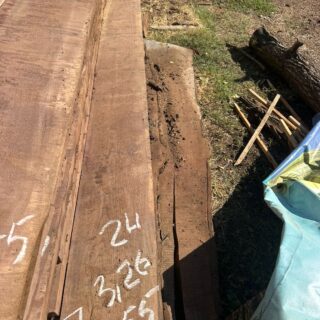 Америкаский Черный орех 2026 - 120727