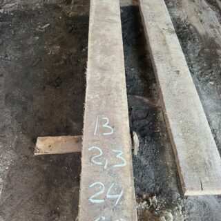 Америкаский Черный орех 2026 - 120733