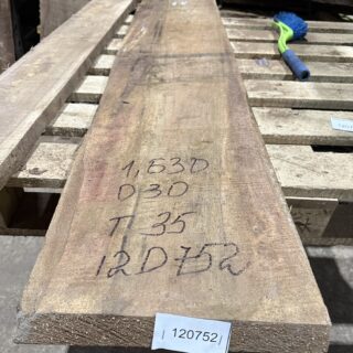 Америкаский Черный орех 2026 - 120752