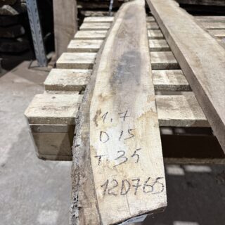 Америкаский Черный орех 2026 - 120765