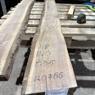 Америкаский Черный орех 2026 - 120766
