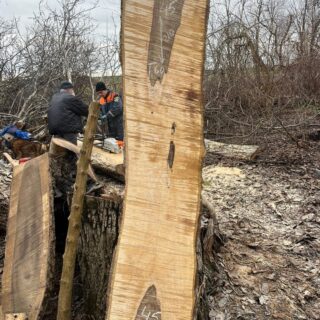 Грецкий слэб 190518-3