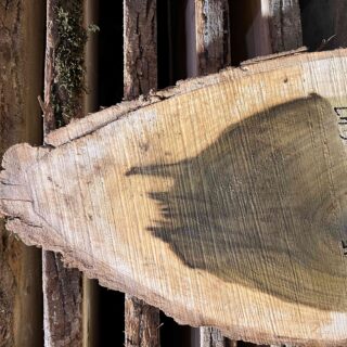 Магнолия-Тюльпановая слэб, доска (Liriodendron tulipifera) - Whitewood, american, - Магнолия 6735