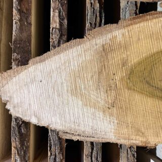 Магнолия-Тюльпановая слэб, доска  (Liriodendron tulipifera) - Whitewood, american,  - Магнолия  6736