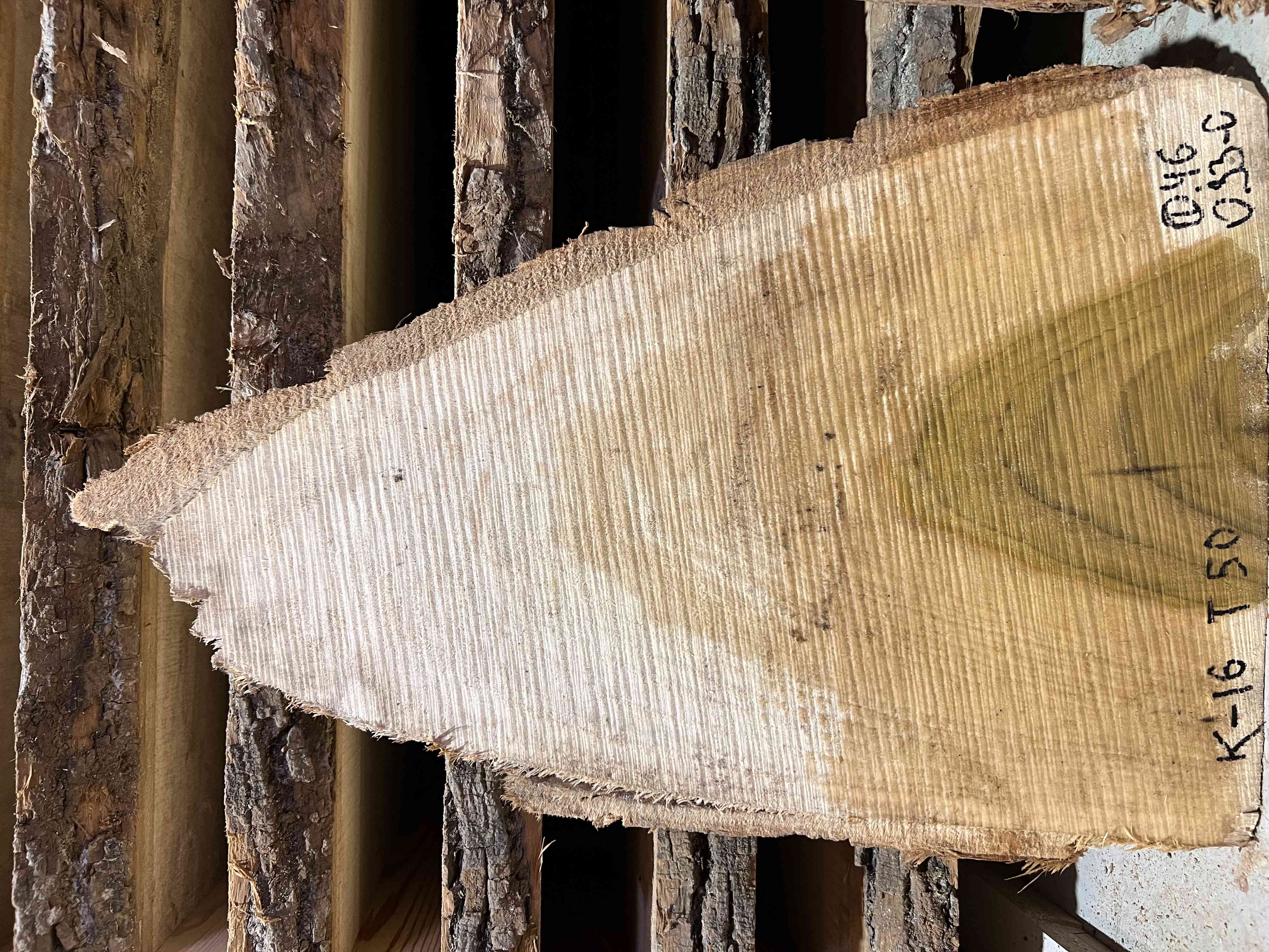 Магнолия-Тюльпановая слэб, доска (Liriodendron tulipifera) - Whitewood, american, - Магнолия 6736 1 Магнолия-Тюльпановая слэб, доска (Liriodendron tulipifera) - Whitewood, american, - Магнолия 6736