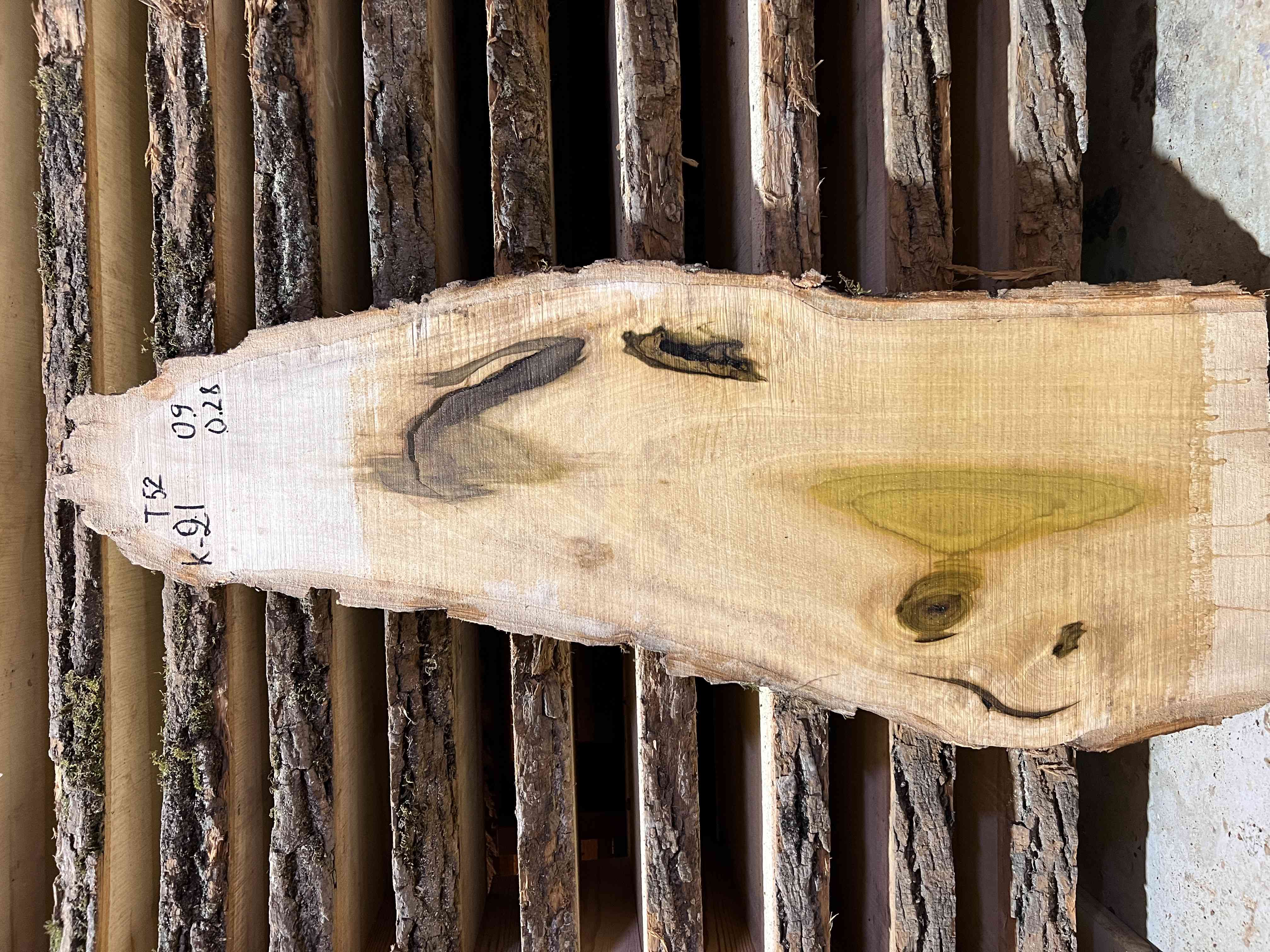Магнолия-Тюльпановая слэб, доска (Liriodendron tulipifera) - Whitewood, american, - Магнолия 6741 1 Магнолия-Тюльпановая слэб, доска (Liriodendron tulipifera) - Whitewood, american, - Магнолия 6741