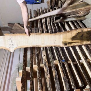 Магнолия-Тюльпановая слэб, доска  (Liriodendron tulipifera) - Whitewood, american,  - Магнолия  6747
