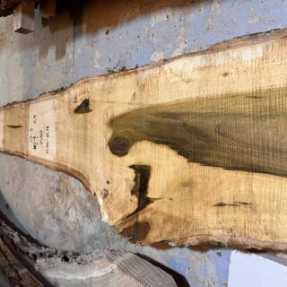 Магнолия-Тюльпановая слэб, доска  (Liriodendron tulipifera) - Whitewood, american,  - Магнолия  6751