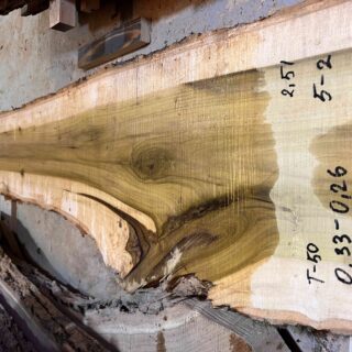 Магнолия-Тюльпановая слэб, доска  (Liriodendron tulipifera) - Whitewood, american,  - Магнолия  6752