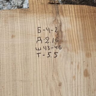 Софора Японская слэб 999842