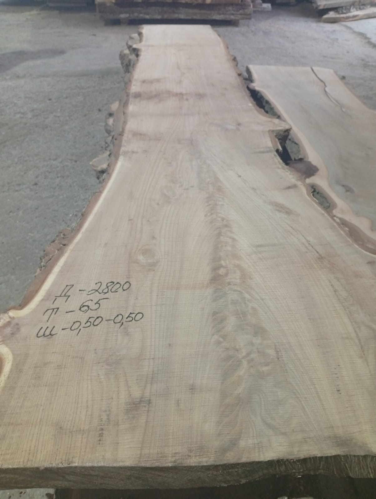 Карагач каповый сухостойный 121474 1 Карагач каповый сухостойный 121474
