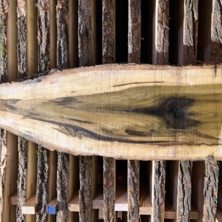 Магнолия-Тюльпановая слэб, доска (Liriodendron tulipifera) - Whitewood, american, - Магнолия 6738