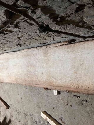 Пальмира Слоновая слэб, доска (Palmwood) 111001