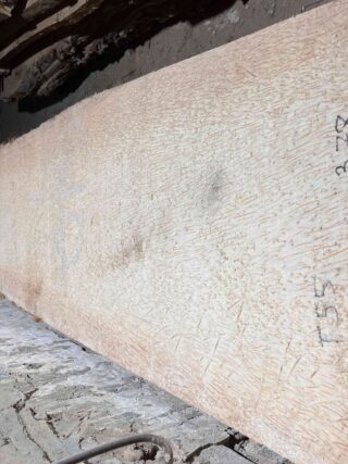 Пальмира Слоновая слэб, доска (Palmwood) 111105