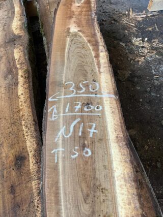 Грецкий орех 114427