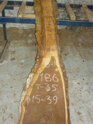 Карагач кавказский слэб, доска 115740