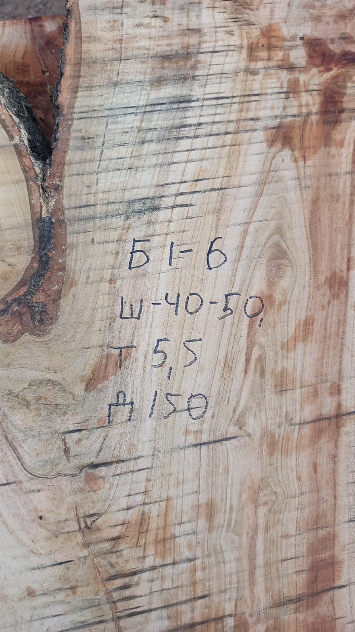 Абрикос Южный Слэб 117806 1 Абрикос Южный Слэб 117806