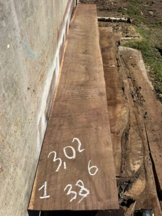 Америкаский Черный орех 2026 - 120721