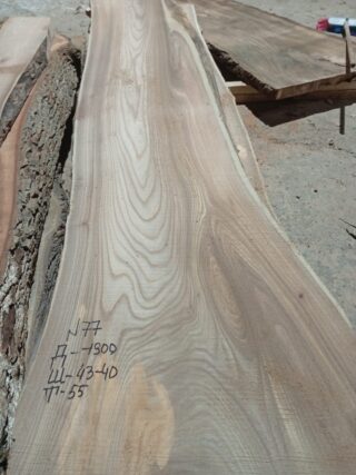 Карагач слэб сухостой-ровный напил120977