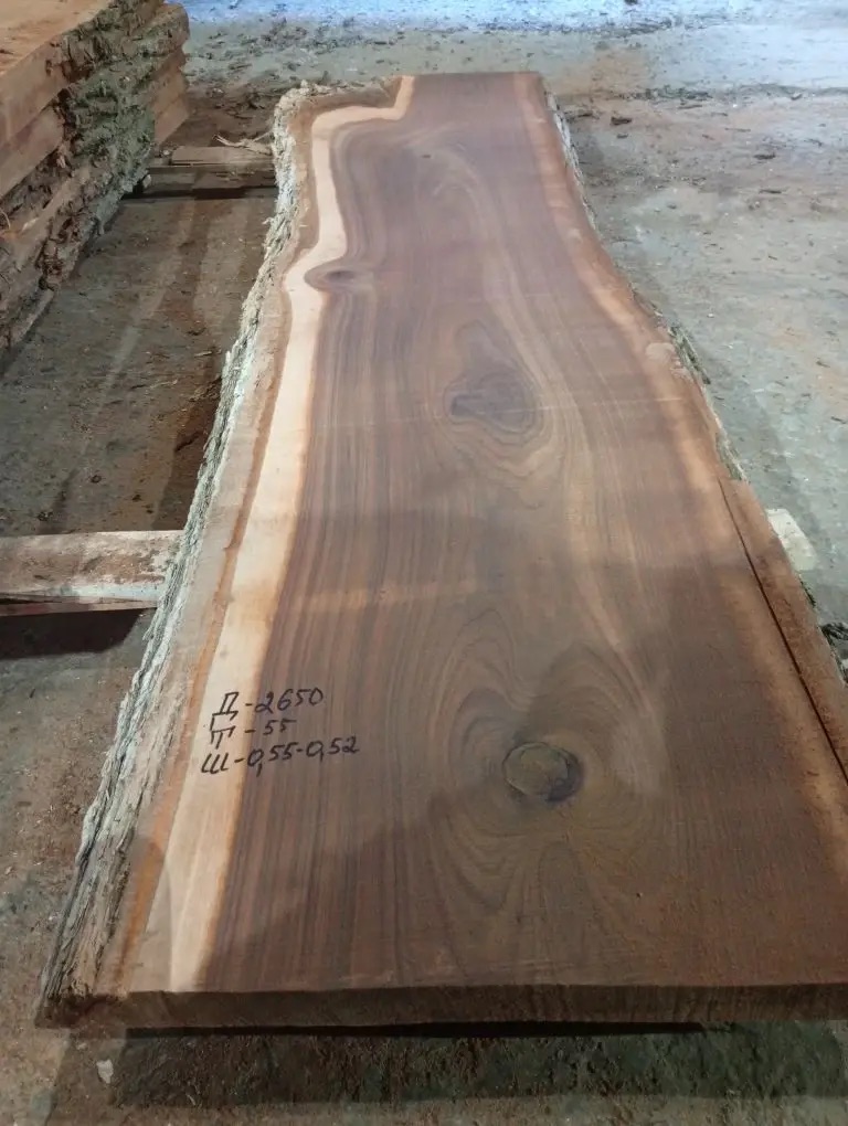 Карагач 2026 122027 1 Карагач 2026 122027