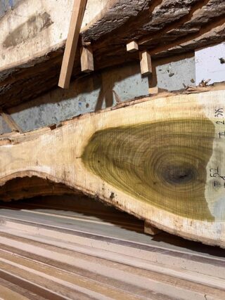 Магнолия-Тюльпановая слэб, доска (Liriodendron tulipifera) - Whitewood, american, - Магнолия 6694