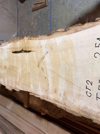 Магнолия-Тюльпановая слэб, доска (Liriodendron tulipifera) - Whitewood, american, - Магнолия 6712