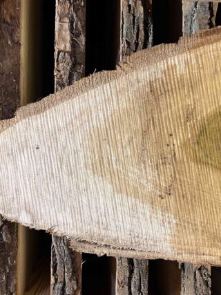Магнолия-Тюльпановая слэб, доска (Liriodendron tulipifera) - Whitewood, american, - Магнолия 6736