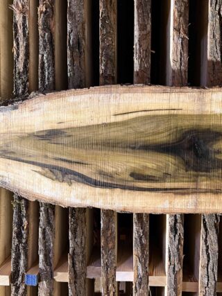 Магнолия-Тюльпановая слэб, доска (Liriodendron tulipifera) - Whitewood, american, - Магнолия 6738