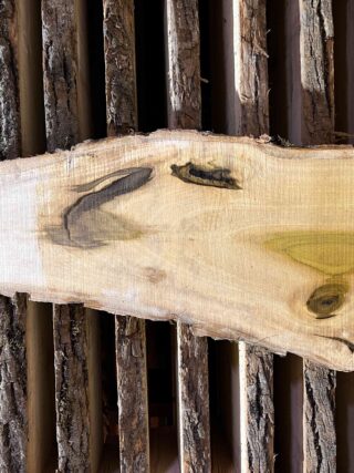 Магнолия-Тюльпановая слэб, доска  (Liriodendron tulipifera) - Whitewood, american,  - Магнолия  6741