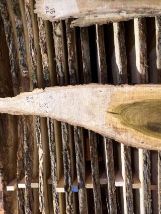 Магнолия-Тюльпановая слэб, доска (Liriodendron tulipifera) - Whitewood, american, - Магнолия 6746