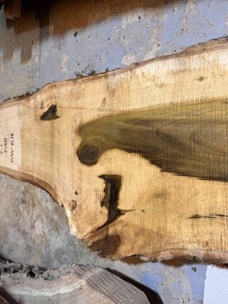 Магнолия-Тюльпановая слэб, доска  (Liriodendron tulipifera) - Whitewood, american,  - Магнолия  6751