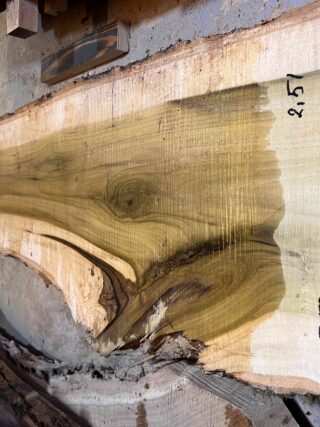Магнолия-Тюльпановая слэб, доска (Liriodendron tulipifera) - Whitewood, american, - Магнолия 6752